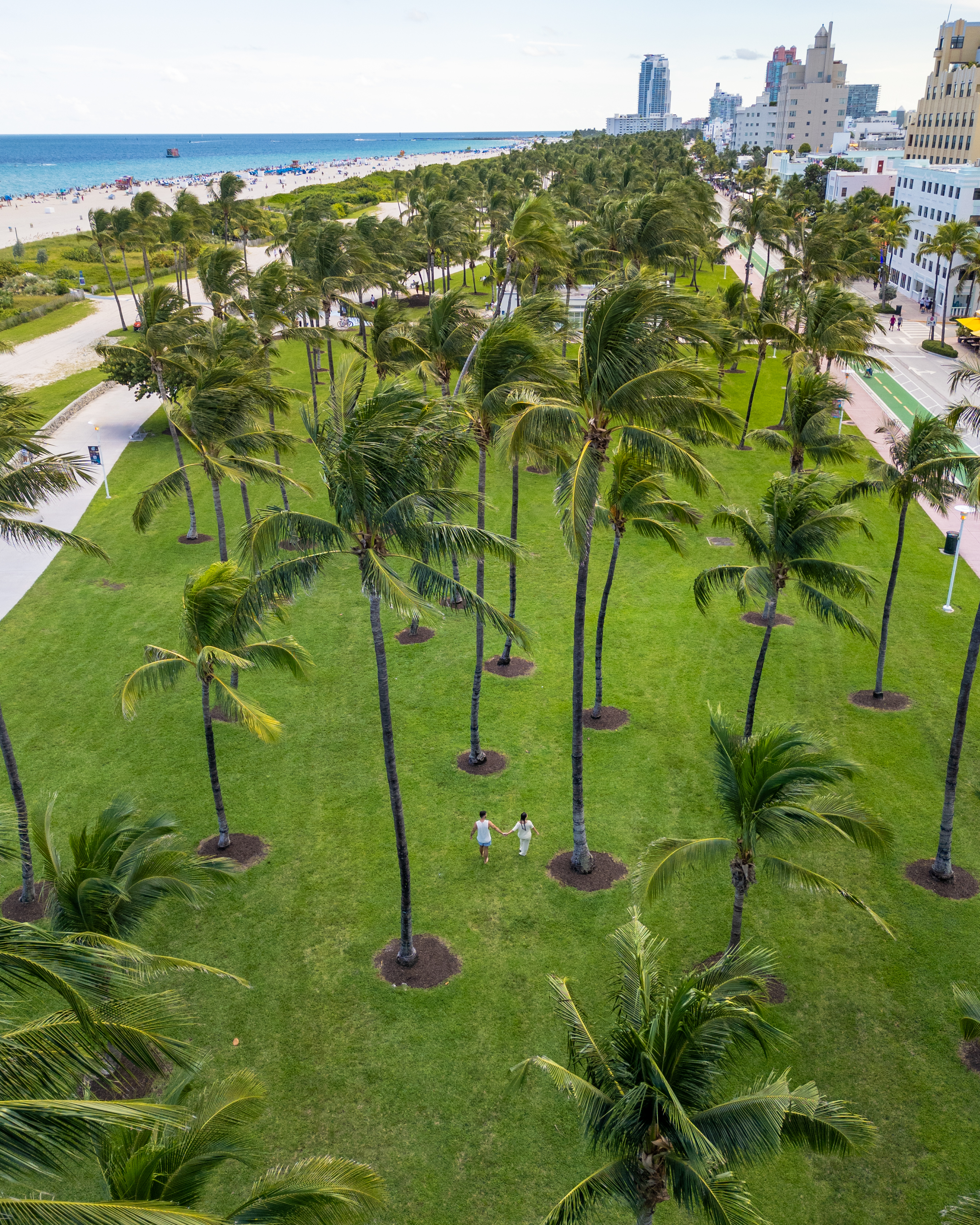 Discover Unforgettable Experiences on Miami Beach in Early 2025: Culture, Cuisine, Music and Wellness